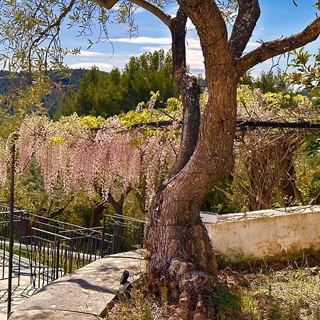 Charming Provence Villa La Passe Luxurious Pool Retreat Near Claviers Buitenkant foto