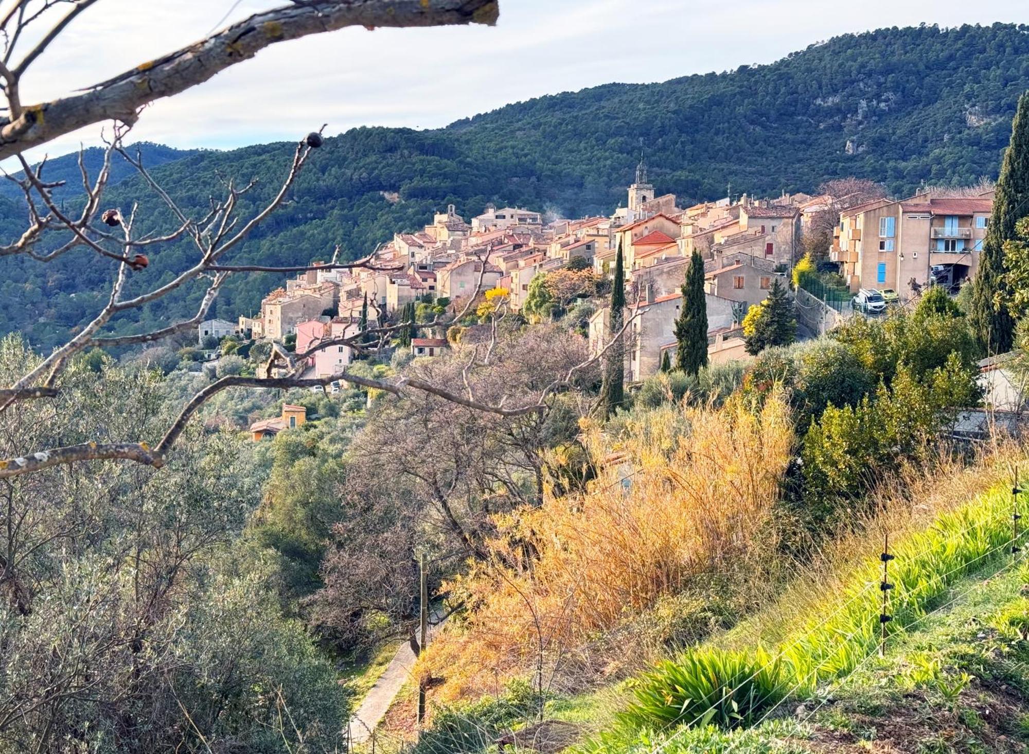 Charming Provence Villa La Passe Luxurious Pool Retreat Near Claviers Buitenkant foto