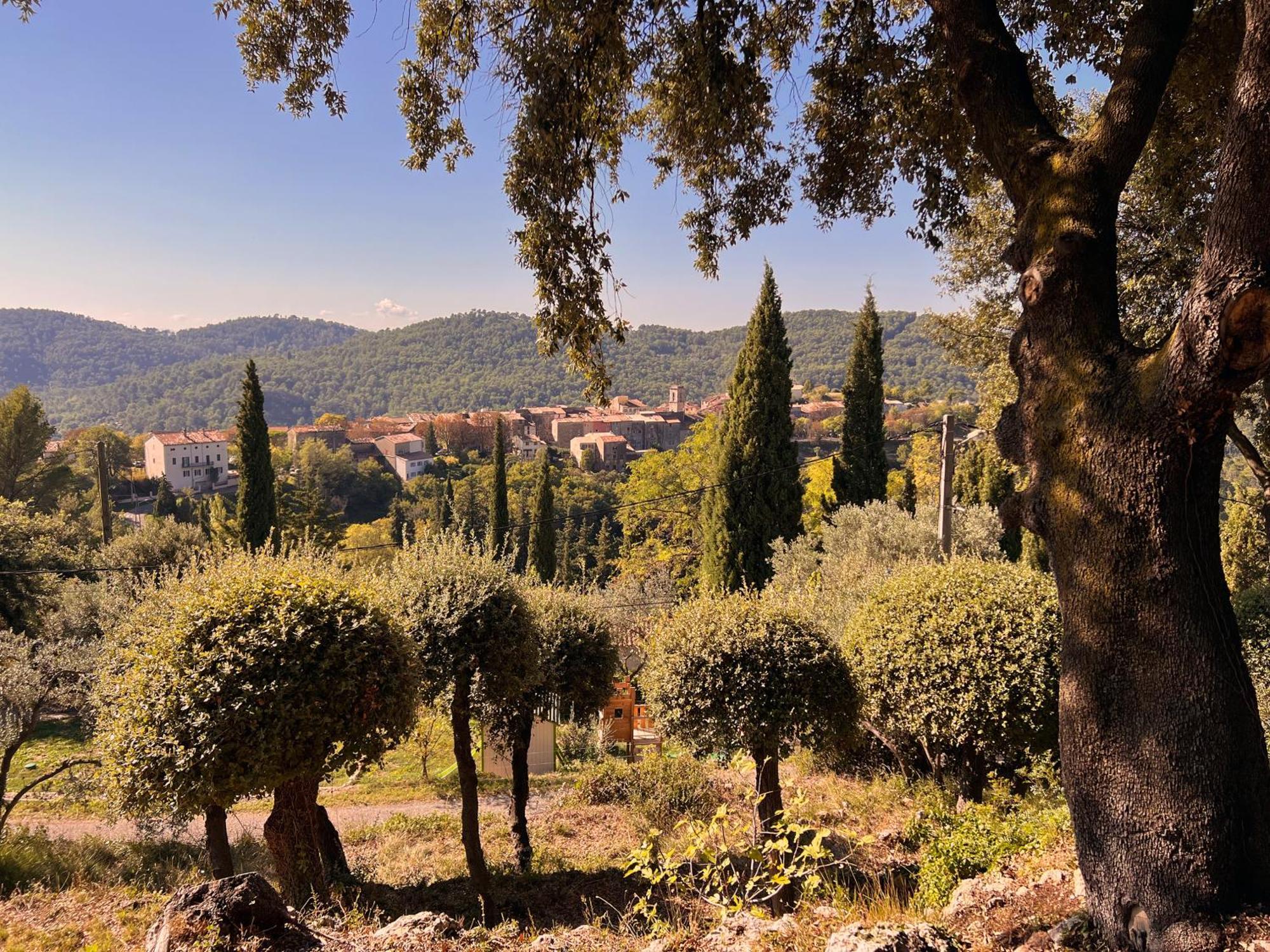 Charming Provence Villa La Passe Luxurious Pool Retreat Near Claviers Buitenkant foto