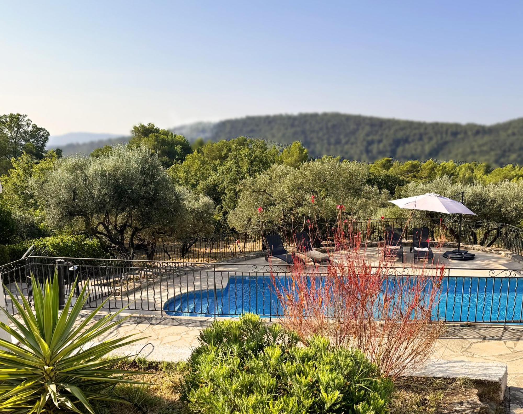 Charming Provence Villa La Passe Luxurious Pool Retreat Near Claviers Buitenkant foto