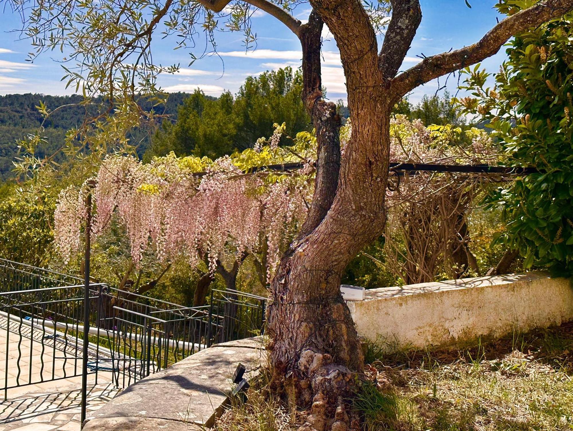 Charming Provence Villa La Passe Luxurious Pool Retreat Near Claviers Buitenkant foto